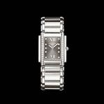 Patek Philippe Twenty~4 4910/10A-010
