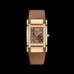 Patek Philippe Twenty~4 4920R-001